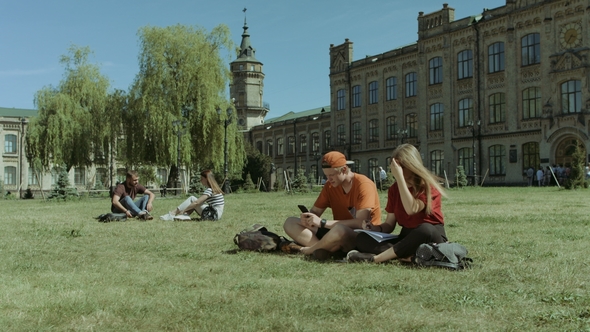 University Students Studying on Campus Lawn