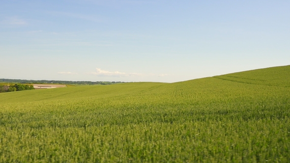 Fields of Crops Passing By, Denmark