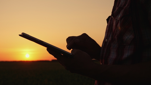 A Male Farmer Is Working in the Field at Sunset