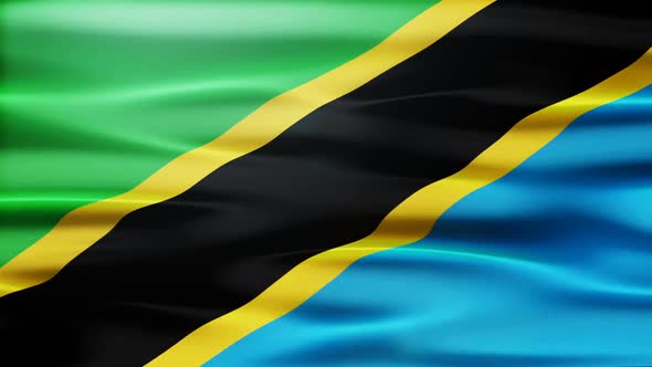 Tanzania Flag Waving