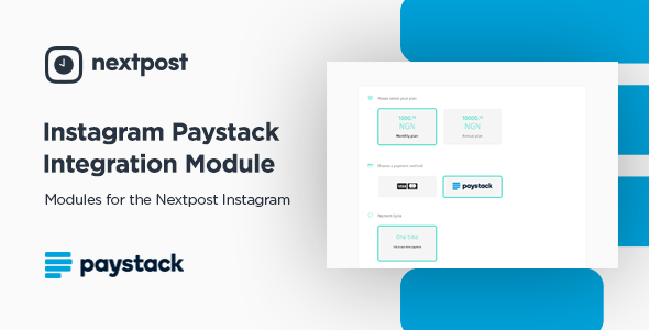 preview paystack
