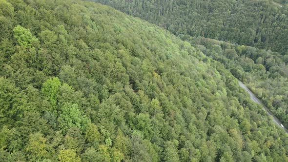 Trees in the Mountains Slow Motion. Aerial View of the Carpathian Mountains in Autumn. Ukraine