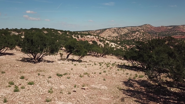 Mountains with Argan Trees in Morocco