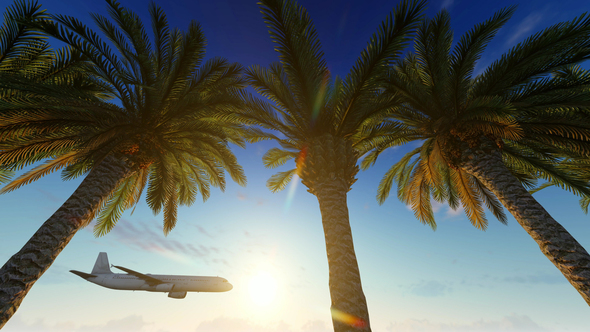 Airplane Flying Over Tropical Palm Tree alt