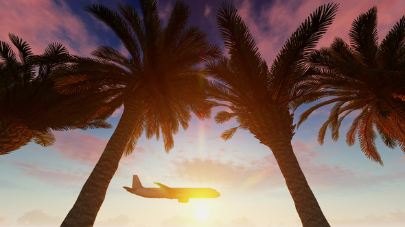 Airplane At Sunset alt