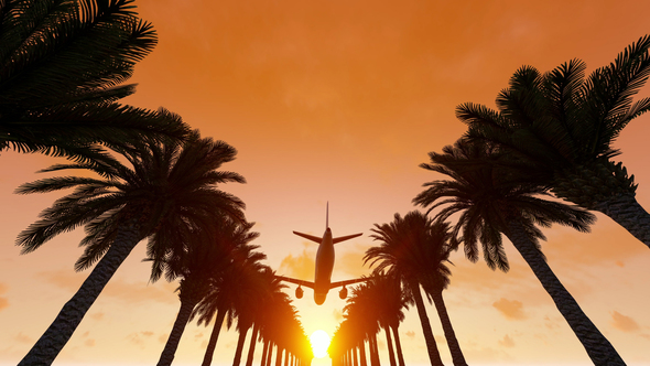 Plane Flying Over Palm Trees alt