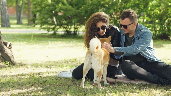 Cute Couple Man and Woman Are Patting Beautiful Dog and Talking Sitting on Lawn in the Park. Modern