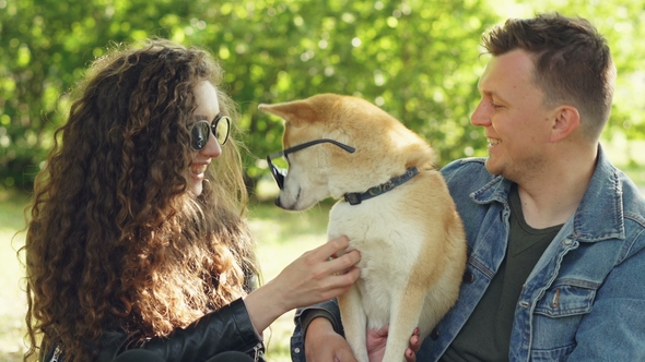 Attractive Woman and Her Husband Are Playing with Dog Putting Sunglasses on It, Caressing Its Fur