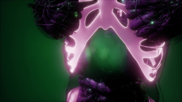 Human Body with Visible Skeletal Bones alt