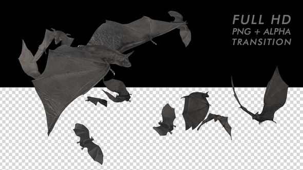 Bat Swarm Transition alt