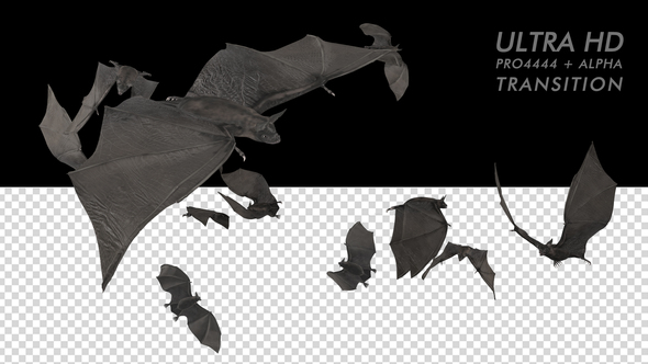 Bat Swarm Transition - 4K alt