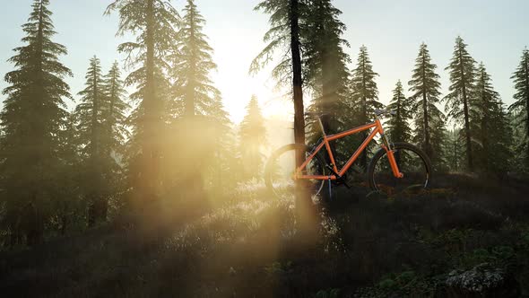 Bicycle in Mountain Forest alt