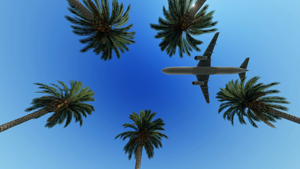 Airliner Passing Over Palm Trees alt