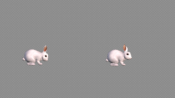 White Rabbit alt
