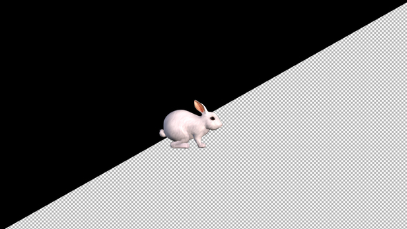 White Rabbit Idle alt