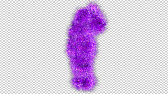 Colorful Hairy Dancer