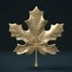 Maple Leaf - 3DOcean Item for Sale