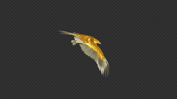 Gold Eagle - Flying Transition - III alt