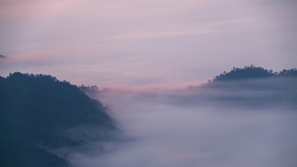 Fog Moves Through Forest On Mountain