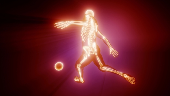 Soccer Game Player alt