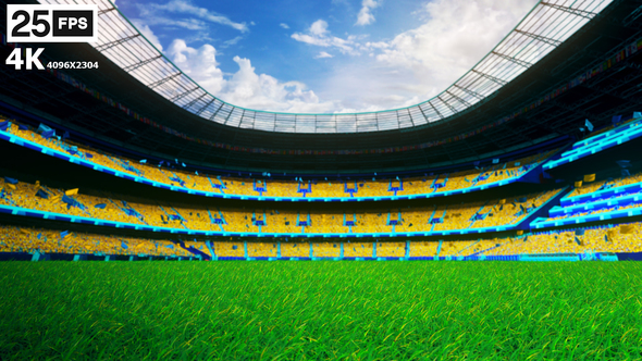 Yellow Flying On Grass In Stadium 4K