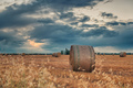 Harvested wheat fields in the Italian summer evening - PhotoDune Item for Sale