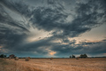 Harvested wheat fields in the Italian summer evening - PhotoDune Item for Sale