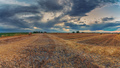 Harvested wheat fields in the Italian summer evening - PhotoDune Item for Sale