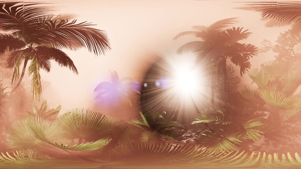 VR360 Camera Moving in a Tropical Jungle Rainforest alt