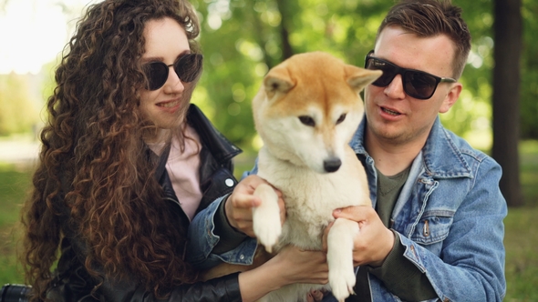 Joyful Young People Are Playing with Beautiful Dog in the Park Having Fun and Laughing. Pretty Girl