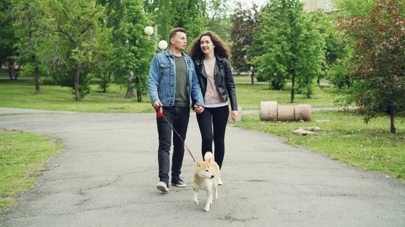 Cheerful Guy  Is Walking His Dog Holding His Wife's Hand