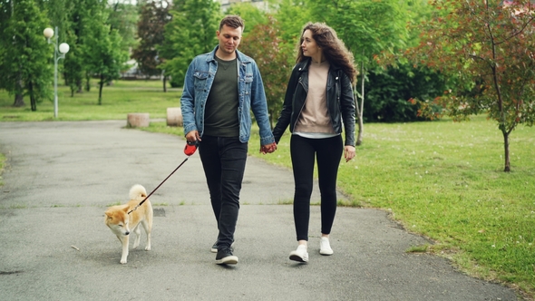 Dolly Shot of Cheerful People Students Walking the Dog in City Park, Guy Is Leading the Dog and