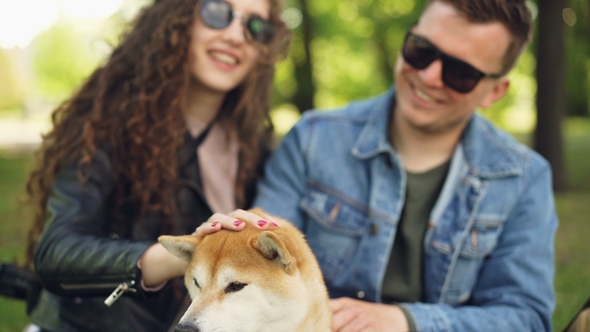 Young People Pretty Girl and Her Boyfriend Are Patting Beautiful Dog, Laughing and Talking Resting