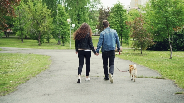 Back View of Young People Girlfriend and Boyfriend Walking the Dog in City Park in Summer, Man and