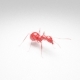 Ant - 3DOcean Item for Sale