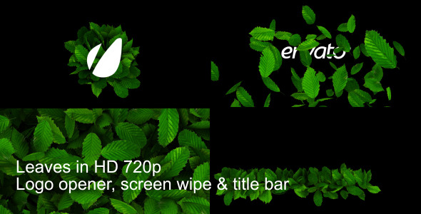 Leaves Logo Wipe And Titlebar HD