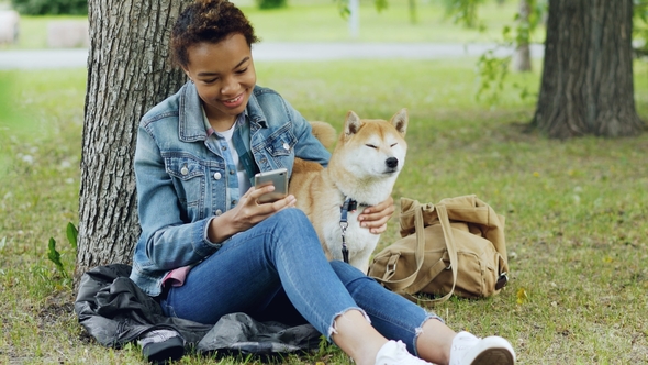 Happy African American Woman Is Using Smartphone and Caressing Her Cute Pet Dog Resting in City Park