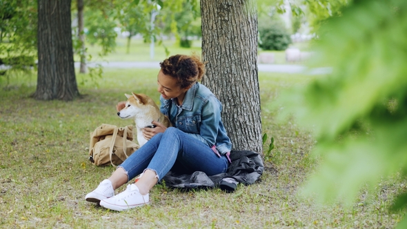 Cheerful Mixed Race Girl Is Cuddling with Beautiful Shiba Inu Dog and Caressing the Animal Resting