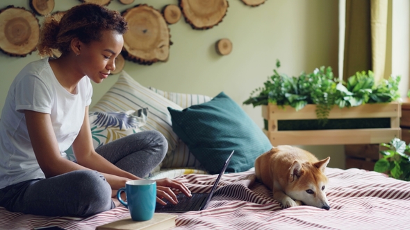 Cheerful Mixed Race Student Is Using Laptop Doing Homework Sitting on Bed at Home 