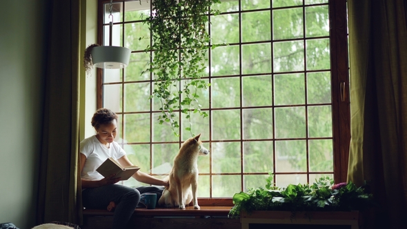 Attractive African American Girl Student Is Reading Book and Stroking Her Purebred Dog Sitting on