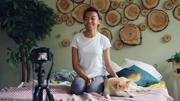 Cute African American Teenager Blogger Is Recording Videoblog Sitting on Bed, Stroking Lovely Pet