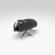 beetle - 3DOcean Item for Sale