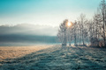 Winter low fog - PhotoDune Item for Sale