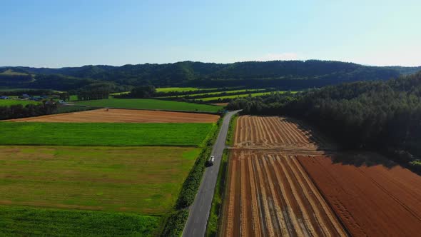 Flying over rural Japan and fields of crops on a sunny day.