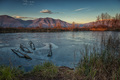 Frozen peatlands - PhotoDune Item for Sale