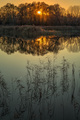 Sunset on peatlands - PhotoDune Item for Sale