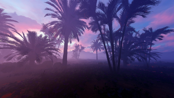 Movement Among Palm Trees alt