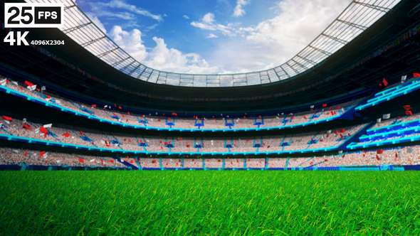 White Flying On Grass In Stadium 4K