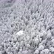 Aerial drone view of beautiful winter scenery with pine trees covered with snow. Background. - VideoHive Item for Sale