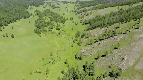 Green Meadows in The Sparsely Wooded Between Forest Covered Hills with Aerial View